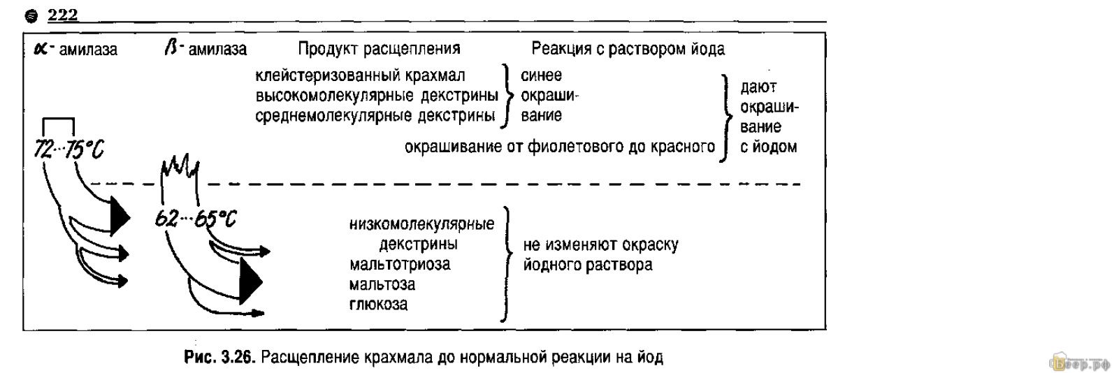 Назад в будущее или как вернуться к пропущенным паузам - Страница 2 - Форум  домашних пивоваров